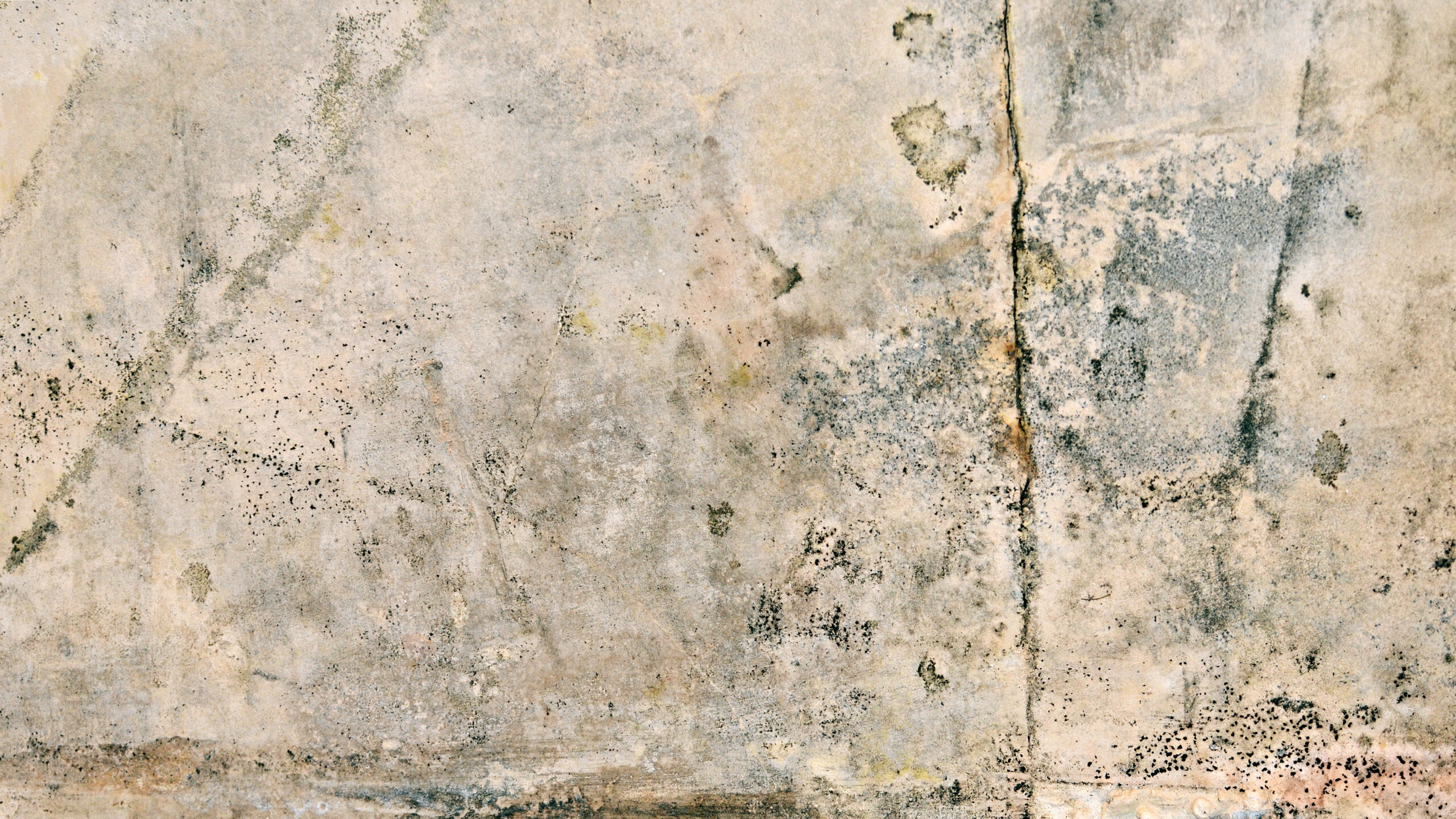 H230501 Schimmelentferner Anw9 vorher 1 scaled